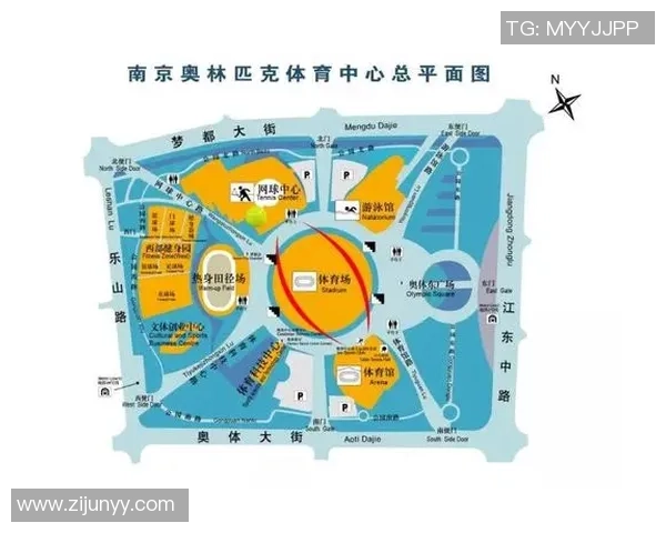 南京网球队的成长历程与全运会辉煌之路的特别报道